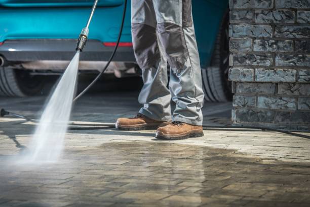 Best Dumpster Area Cleaning  in , WY