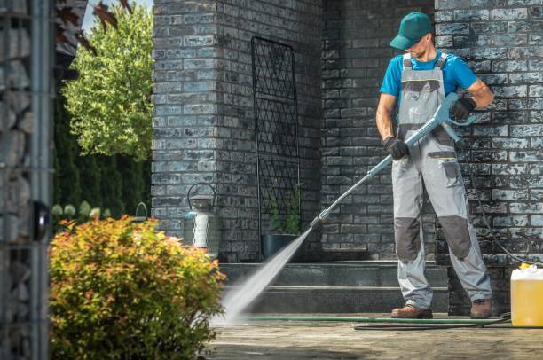 Best Roof Washing  in , WY